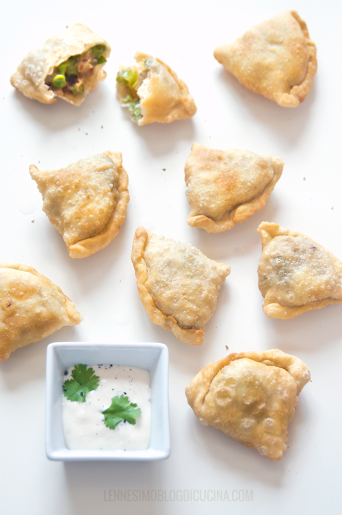 Samosa indiani di verdura con Parmigiano Reggiano