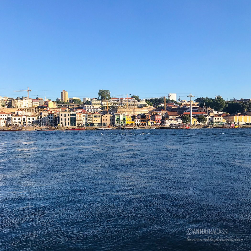 Porto: il vino di Porto. Storia, caratteristiche, abbinamenti