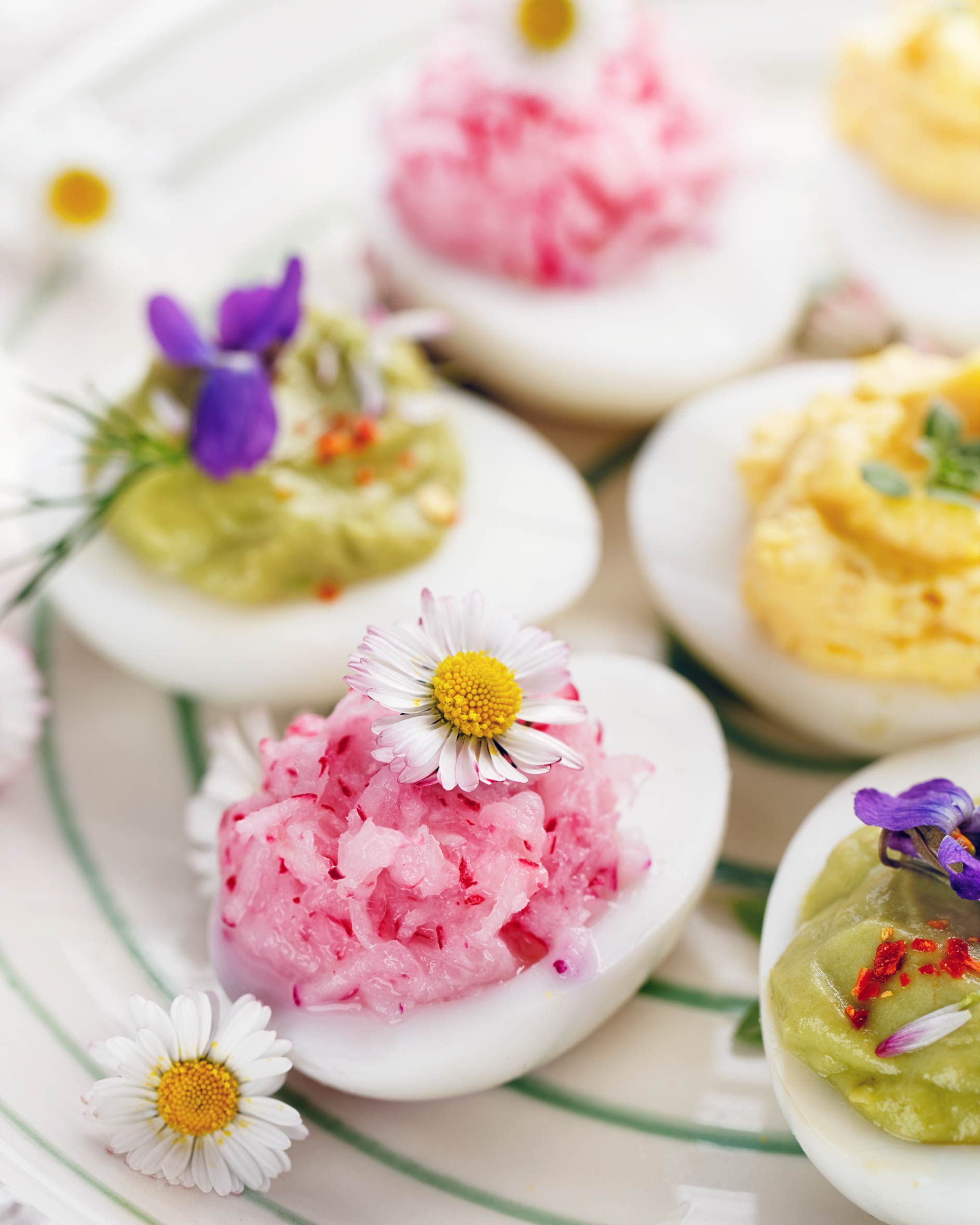 Fiori eduli. Coltivazione, conservazione e utilizzo in cucina - Gambero  Rosso