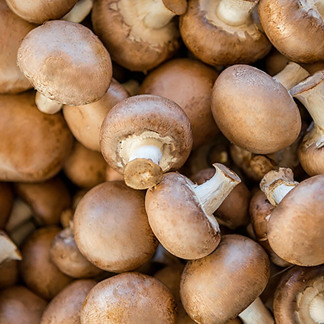 ricette con i funghi