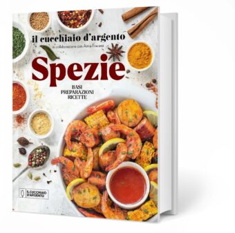 Spezie, il nuovo libro della collana Il Cucchiaio d’Argento realizzato in collaborazione con Anna Fracassi