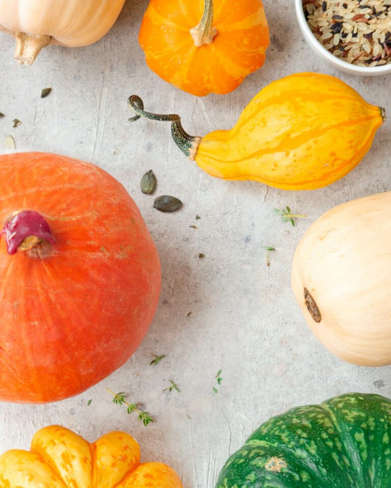 le 7 varietà di zucca da provare