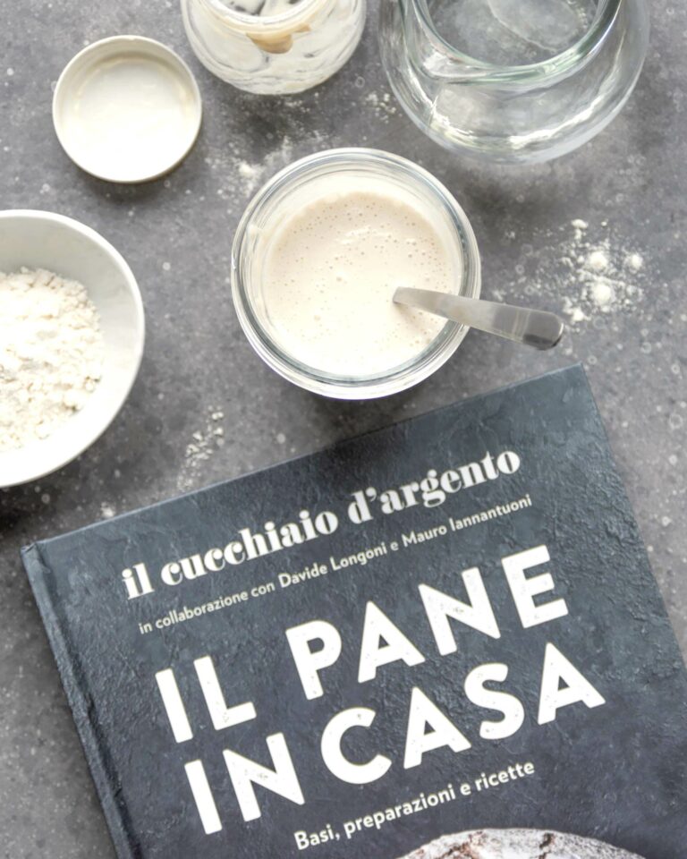 Il pane in casa di Davide Longoni e Mauro Iannantuoni