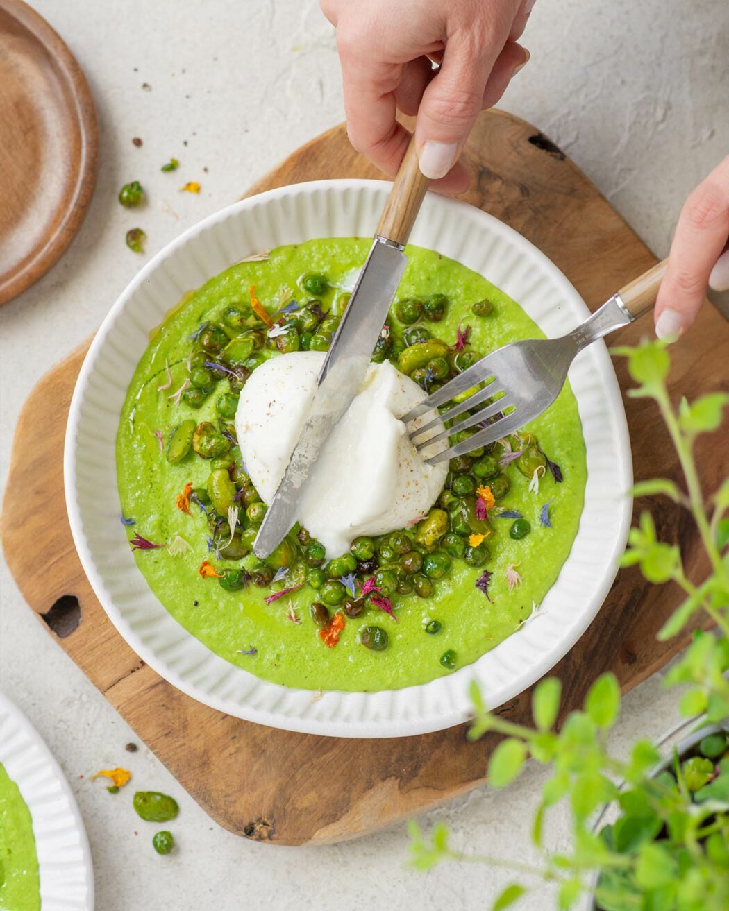 Vellutata di primavera con piselli, fave e burrata